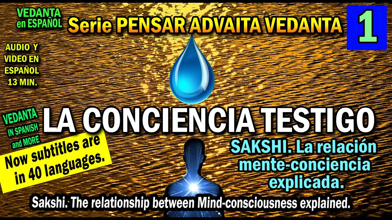 LA CONCIENCIA TESTIGO