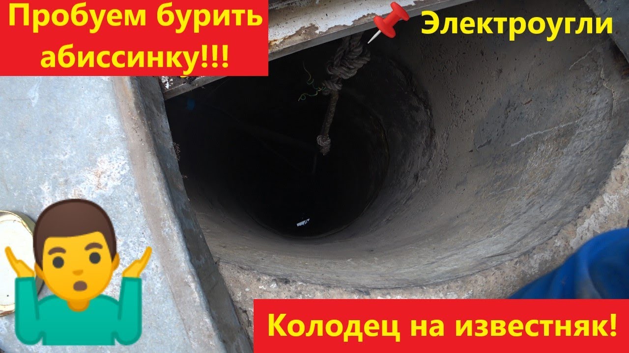 Абиссинка не получилась. Колодец на известняк.