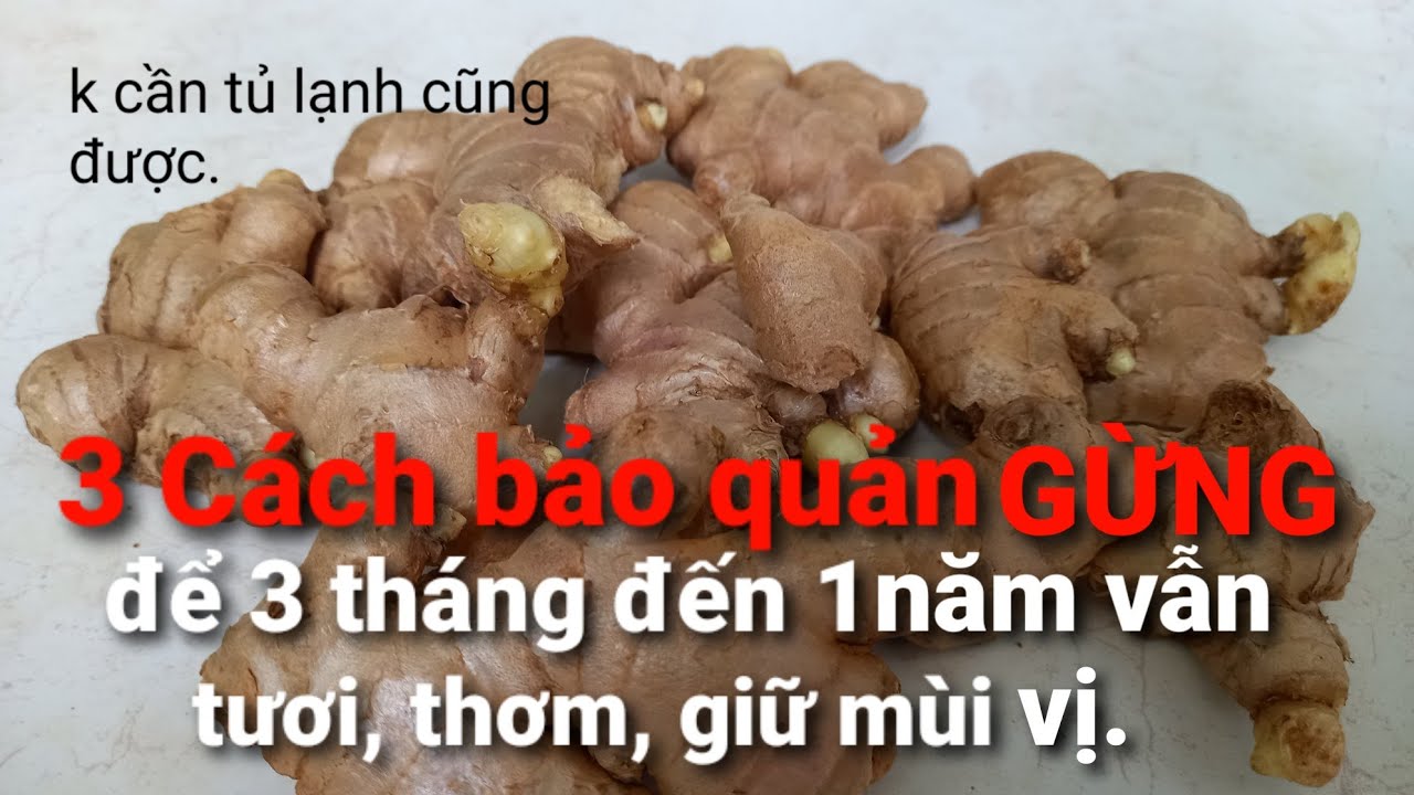 3 Cách bảo quản GỪNG để được lâu từ 3 tháng đến 1 năm không bị hư. || Thiện family