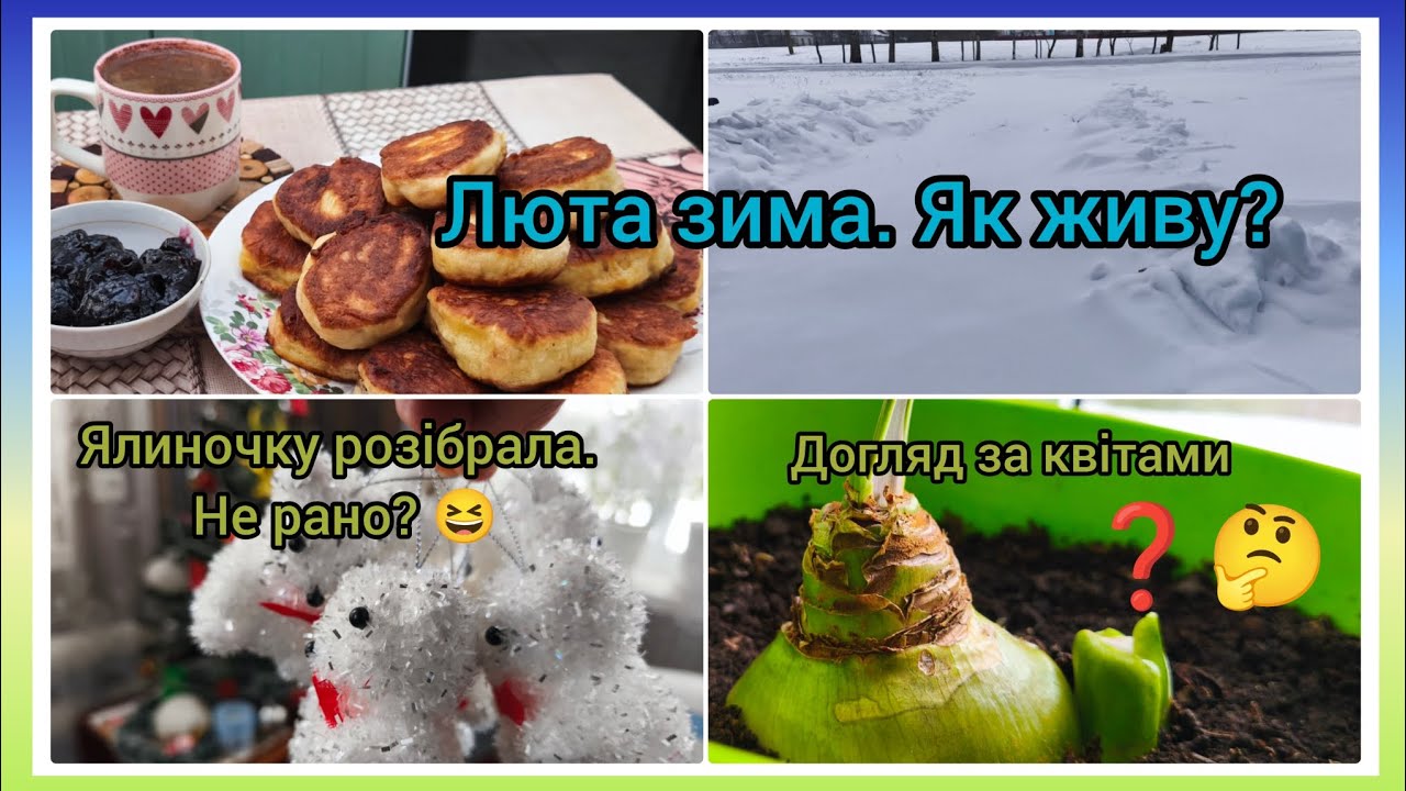 Морози// Життя без світла//  Підживлення орхідеї// Аномалія гіпеаструма @Moie_selo_na_Poltavshchyni 