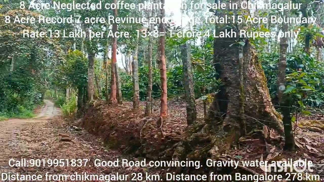 8 Acre 7cre Encourage Neglect  coffee plant for sale in Chikmagalur.13 Lakh per acre.call:9019951837