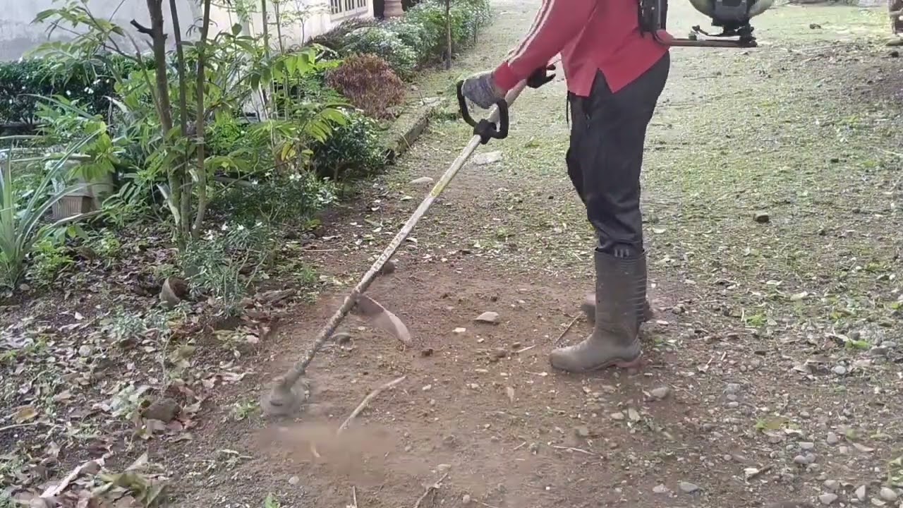 Bersih-Bersih Samping Rumah: Potong Rumput yang Sudah Menjulang! #bersihbersih #potongrumput 