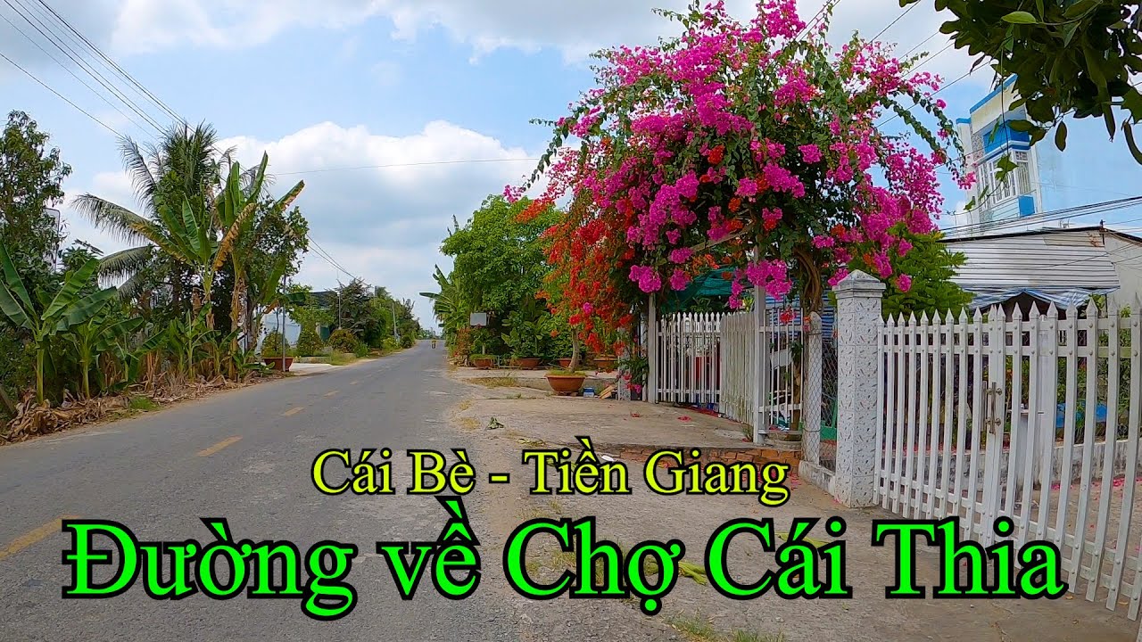 Chợ Hòa Khánh đến Chợ Cái Thia | Cái Bè – Tiền Giang 25-03-2023