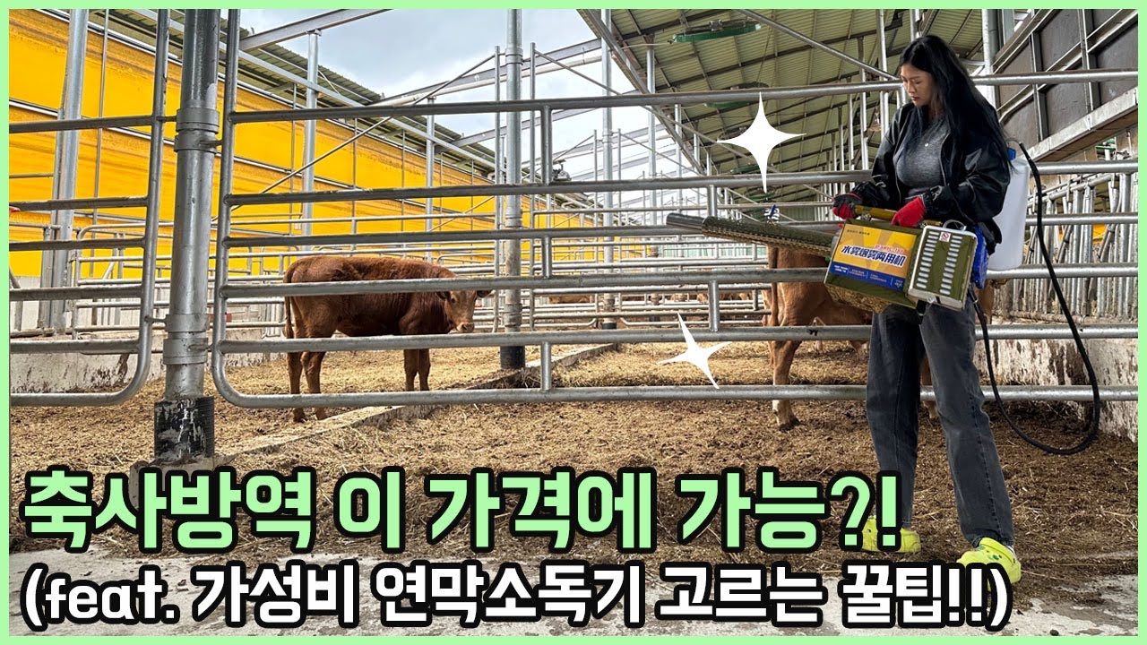 축사방역 이 가격에 가능한 일!?(feat.방구탄의 위력)