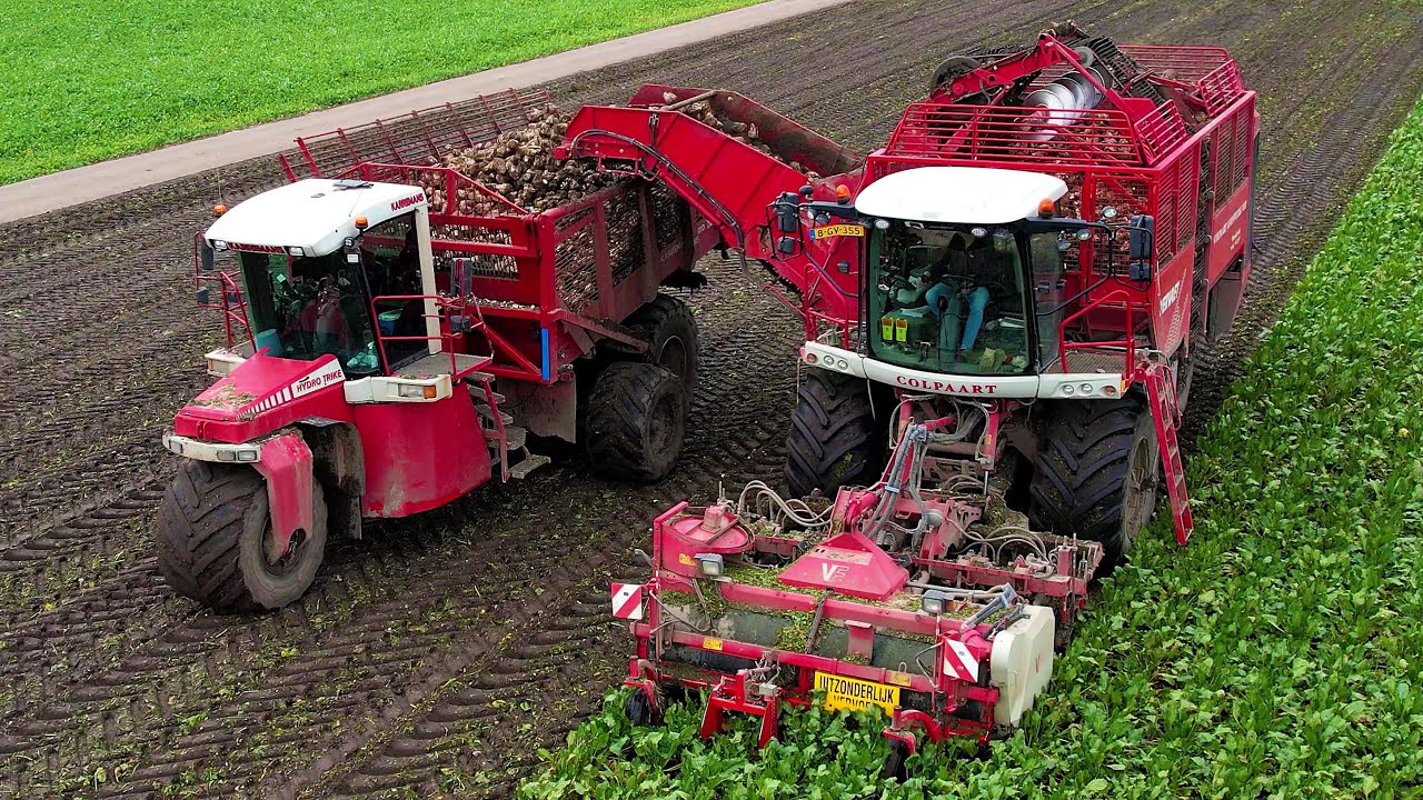 Bieten rooien | Beet harvest | Rüben roden | Vervaet Q 616 | Vervaet Hydro Trike | Bietenoogst 2023