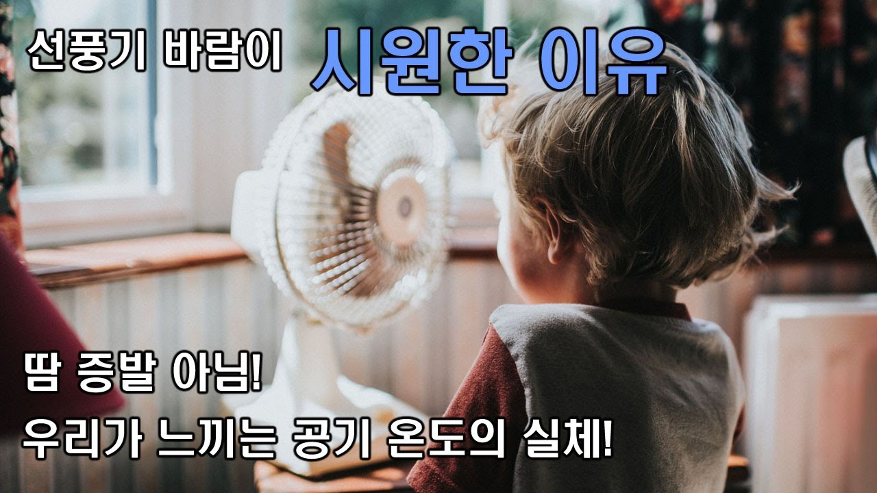 선풍기 바람이 시원한 진짜 이유 (땀 증발열 아님)
