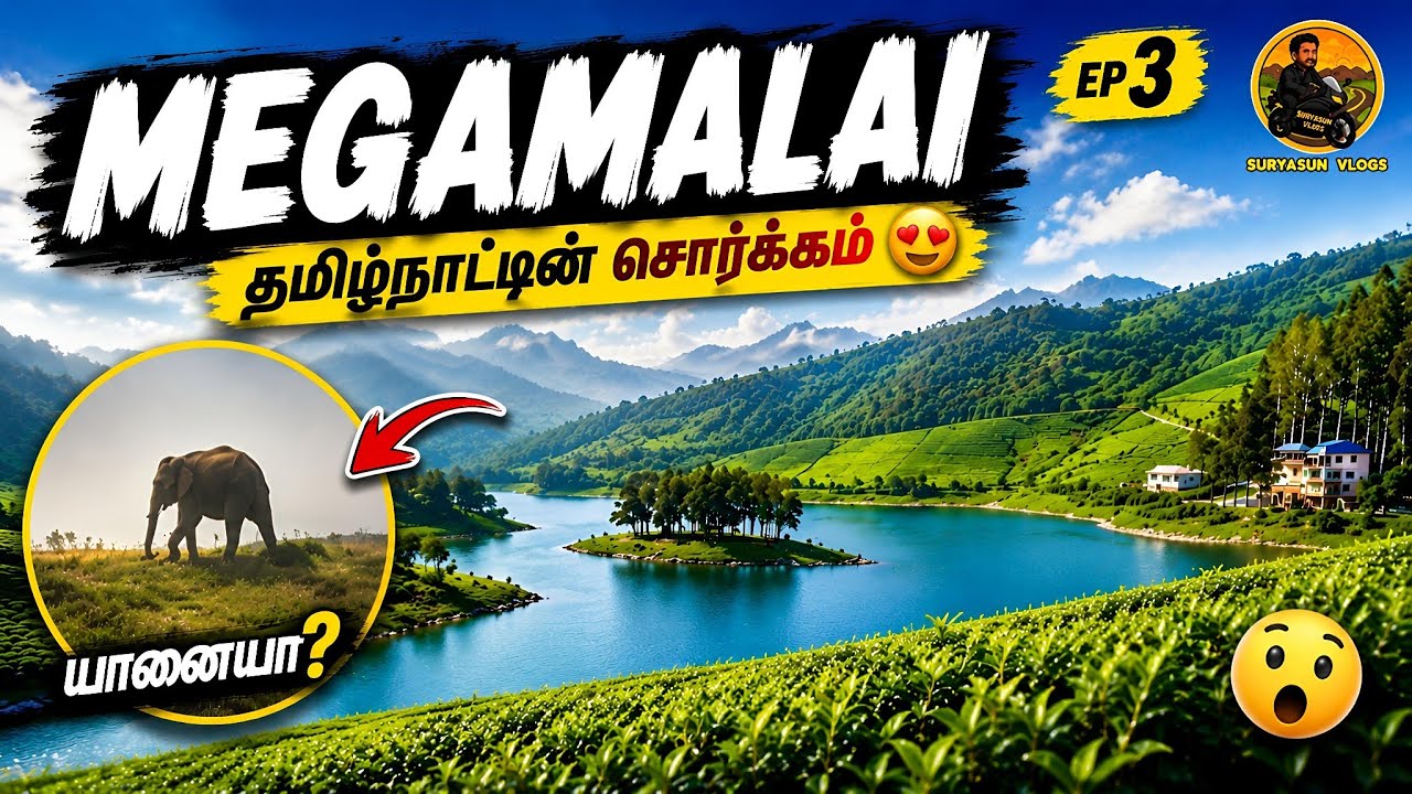 Megamalai – Hidden Heaven of Tamil Nadu 🌿☁️ | Unexpected Elephant spotted | Ep-3 | Tamil vlog
