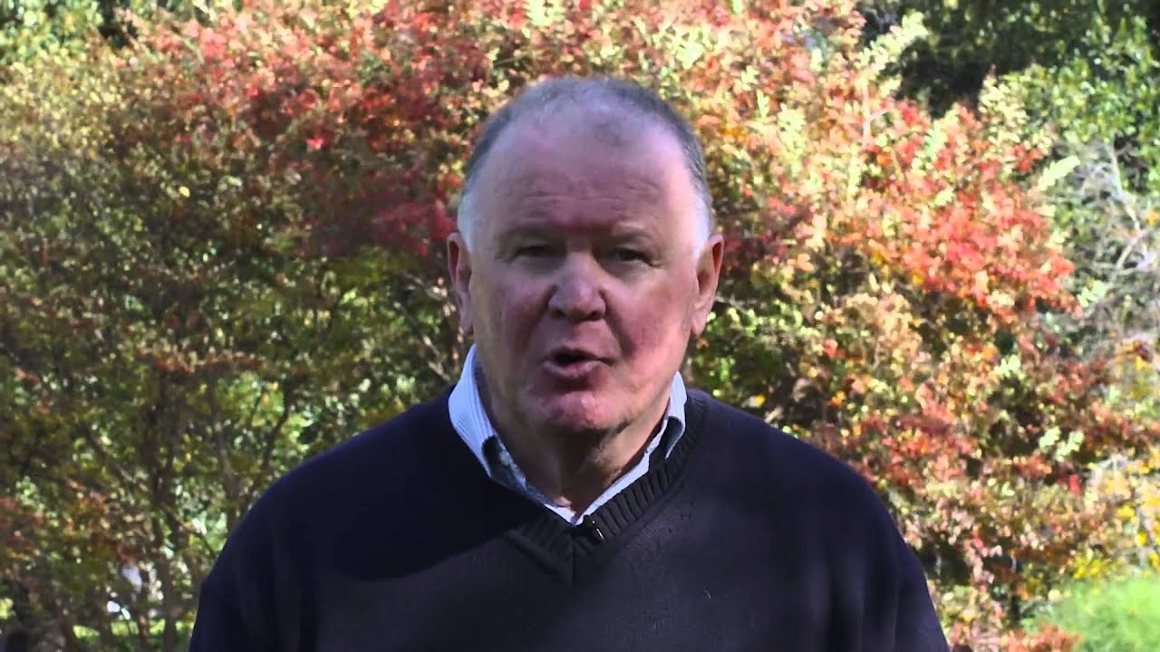 Bruce's reasons to call the Beyond Blue Support Service