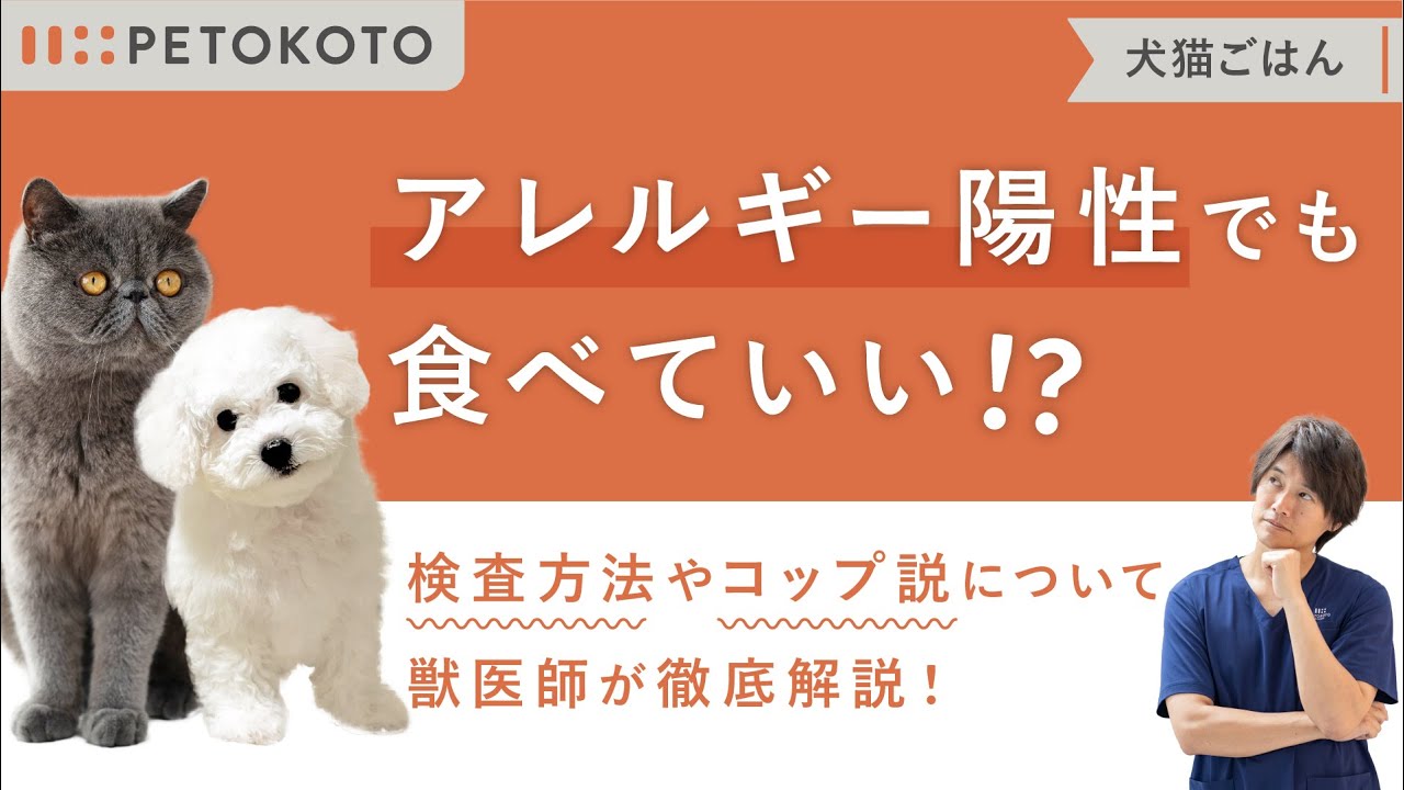 【犬の食物アレルギーテスト】は注意が必要？原因やドッグフードの選び方を獣医師が解説