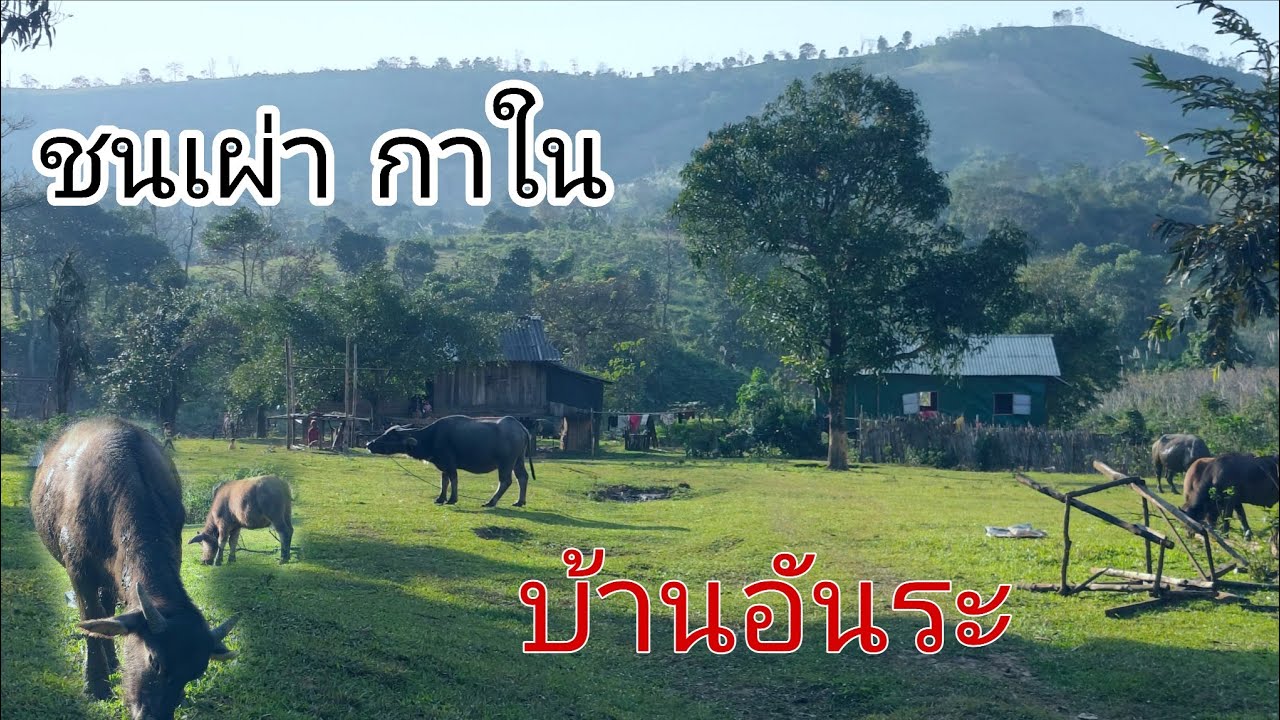 ชนเผ่ากาใน