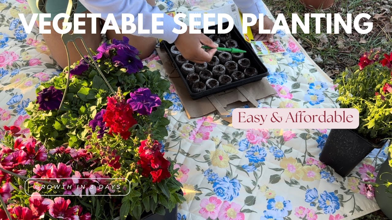 🌱🥕2025 Spring Seed Planting | Easy & Affordable 🥕🌱