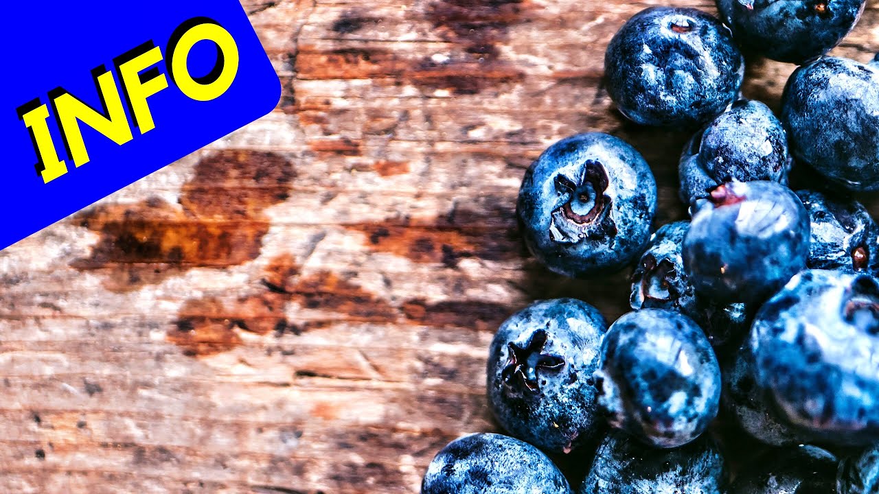 Sunshine Blue Blueberry (INFO)