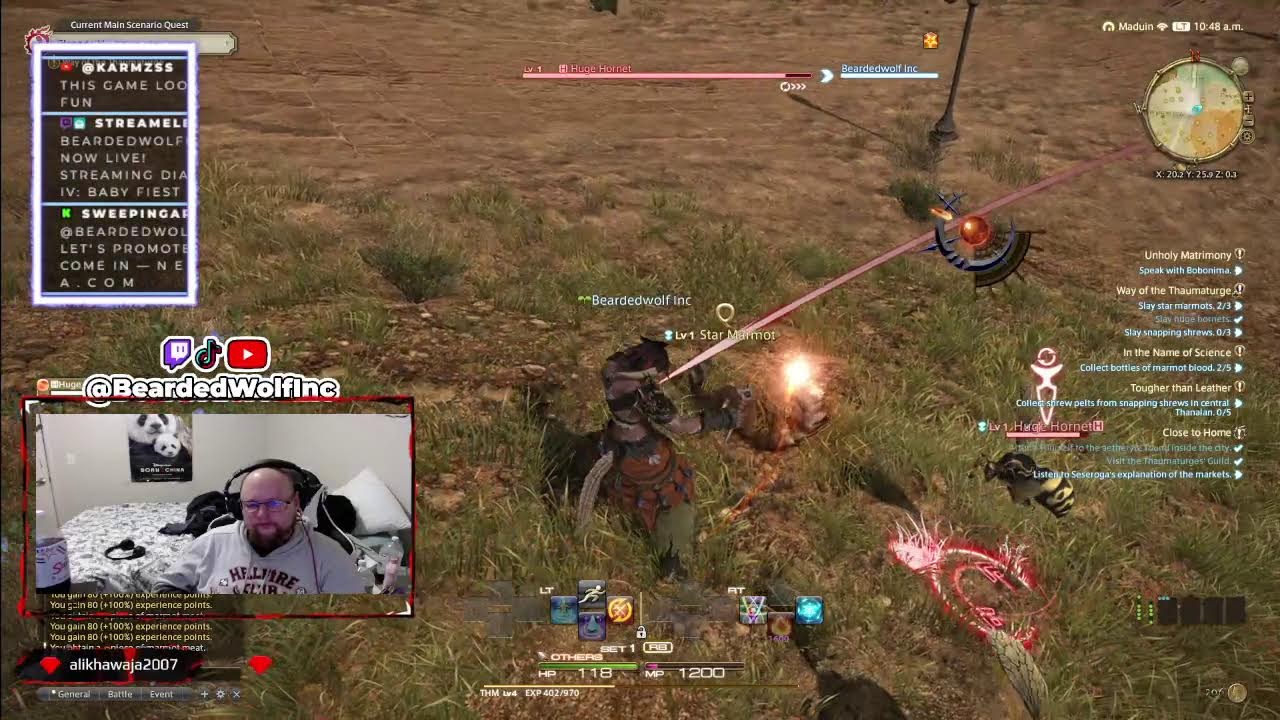 Baby fiest mmo