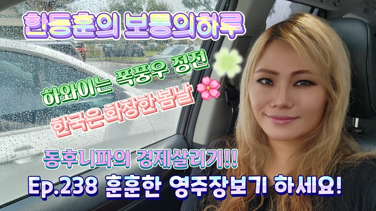 주말 커피한잔! 🌈 한동훈의 보통의하루 Ep.238 하와이는 폭풍우 한국은 봄 영주 장보기 🛍