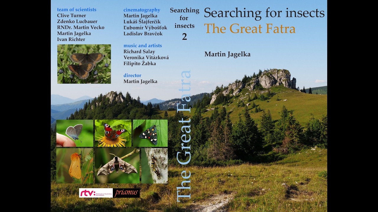 Searching for insects - The Great Fatra