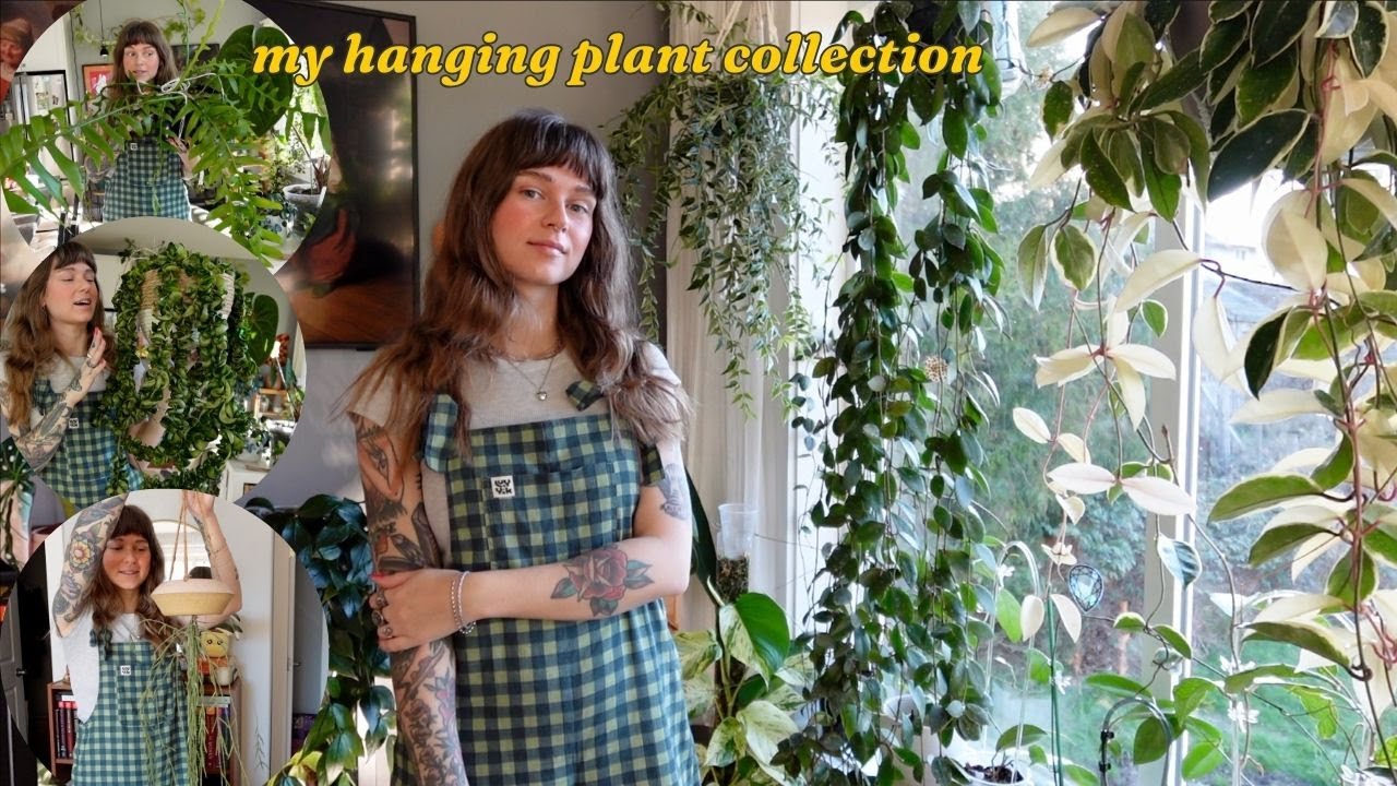🌿 all of my hanging plants 🌿 the best plants to give your home a jungle feeling!