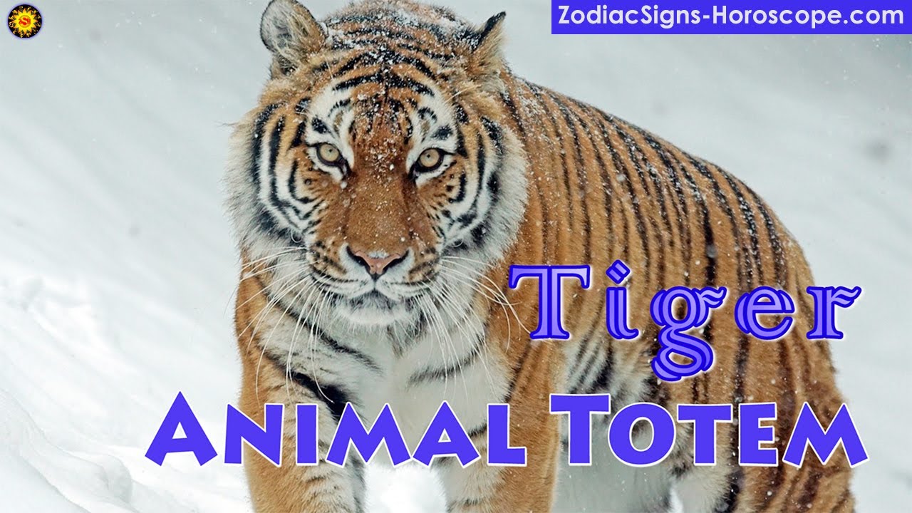 Tiger Animal Totem - Tiger Spirit Animal Meaning, Symbolism, Dream of the Tiger Totem