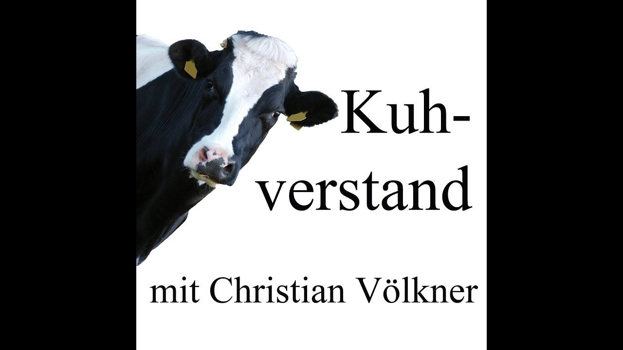 091| Pansenazidose erkennen