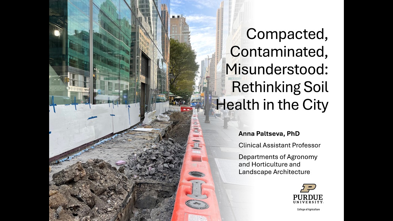 Compacted, Contaminated, Misunderstood Rethinking Soil Health in the City