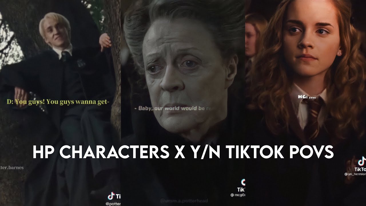 Hp Characters x Y/n TikTok POVS
