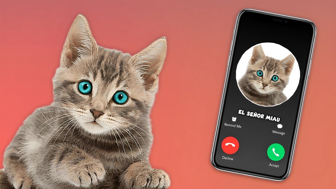 El Gato🐱Señor Miau📞(Quiere Hablar Con Tigo)😊Ayúdalo A Buscar Asu Hermano Perdido🥺😥🏞️