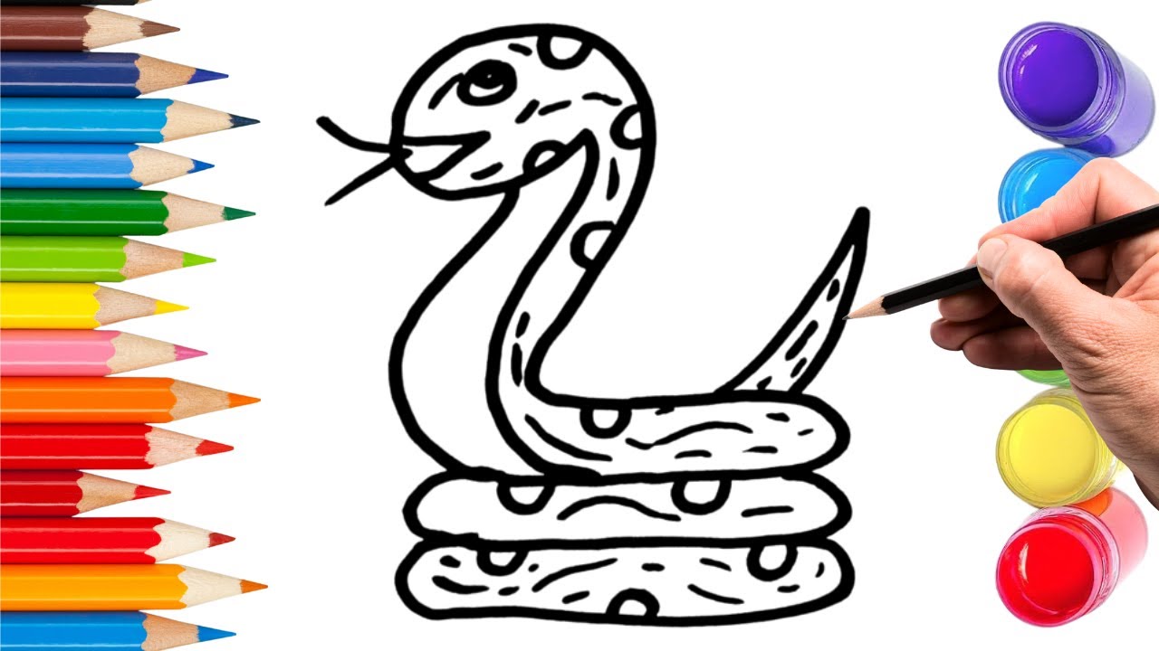 How To Draw cute snake Drawing, Painting & Coloring For Kids and Toddlers_ Child Art 🐋🌈