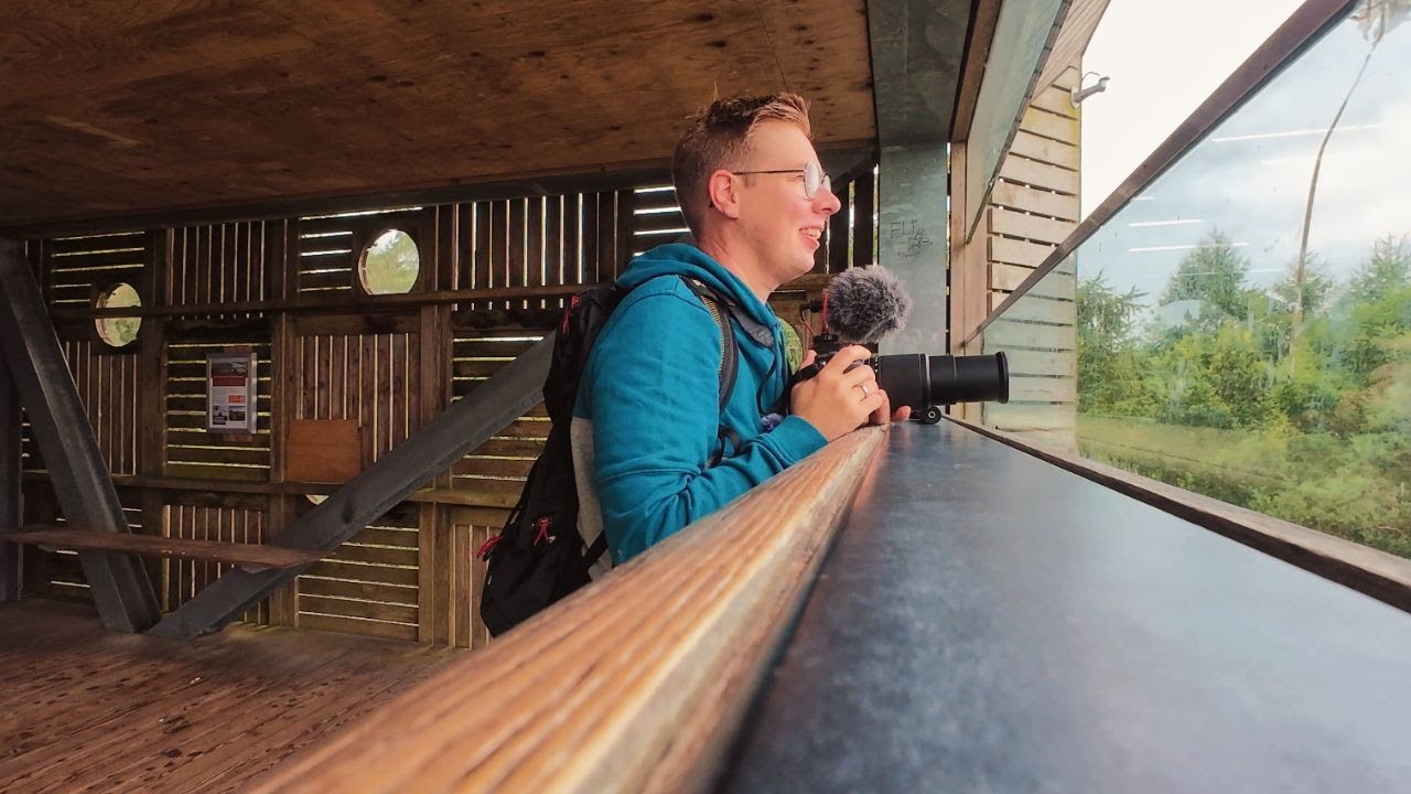 Waarom ik een video verwijderde + Wandeling Uitkijktoren De Zeven, Fochteloërveen (met kraanvogels!)