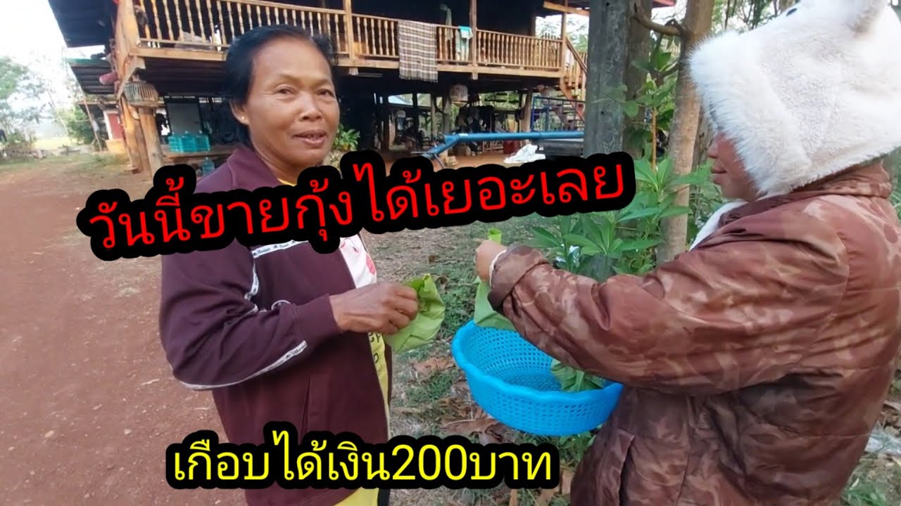 ข่าวดีวันนี้ขายกุ้งได้เยอะเลยเกือบได้เงิน200บาท#จิตอาสา 