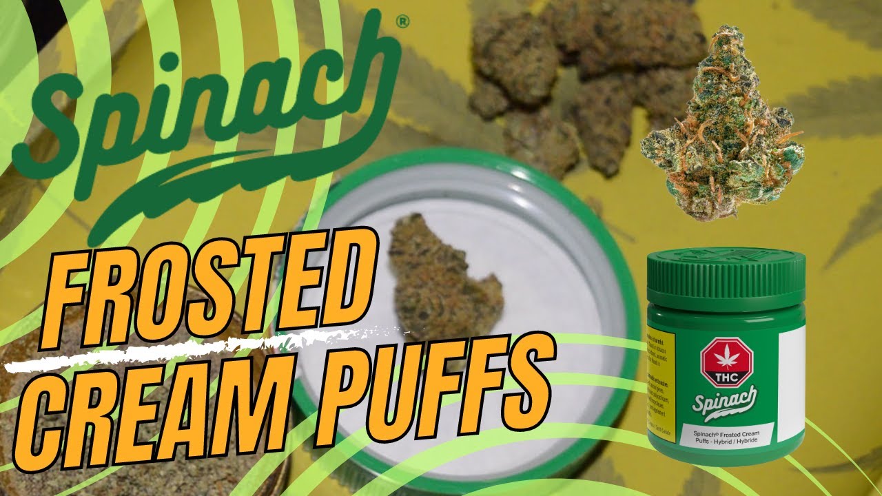 Frosted Cream Puffs Strain Review 🌿