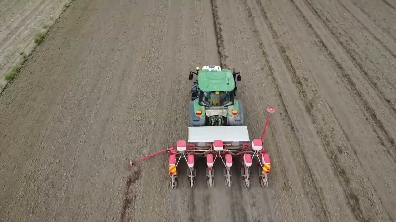Semina Mais 2025 | John Deere 6120M | Gaspardo Monica 6 File | Isma | Pioneer