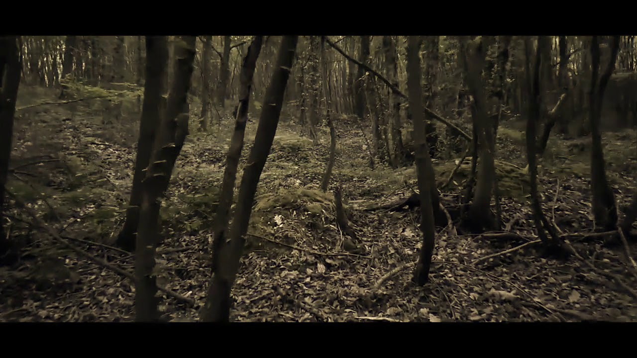 Tense Horror Music No Copyright Loop 
