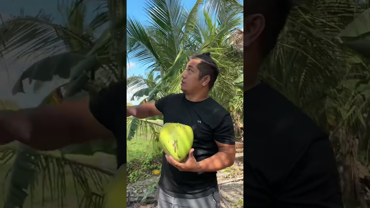 Bukohan ni Tata  #buko #subscribe #coconut #farming #coronboatman 
