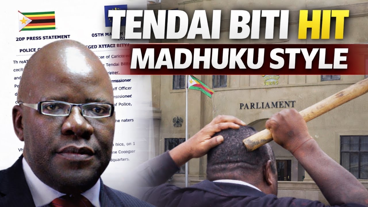 TENDAI BITI ATTACKED MADHUKU STYLE AS MNANGAGWA REGIME PANIC