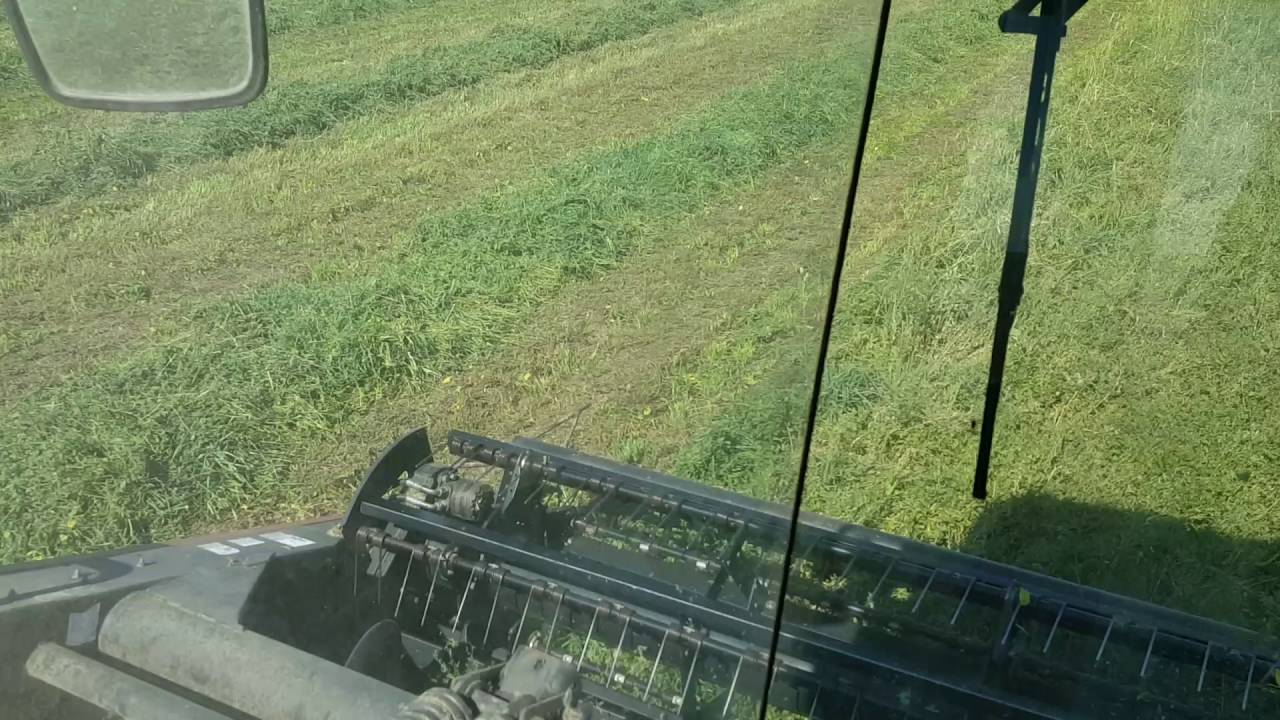 Swathing the hay with the Mac Don.