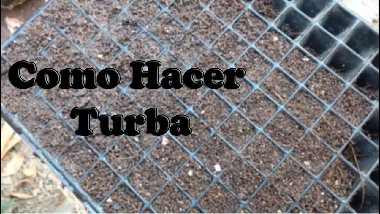 Como hacer turba | Tu Profe TV