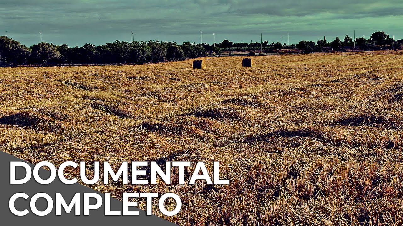 Aumento Anual de Sequías | Free Documentary Español