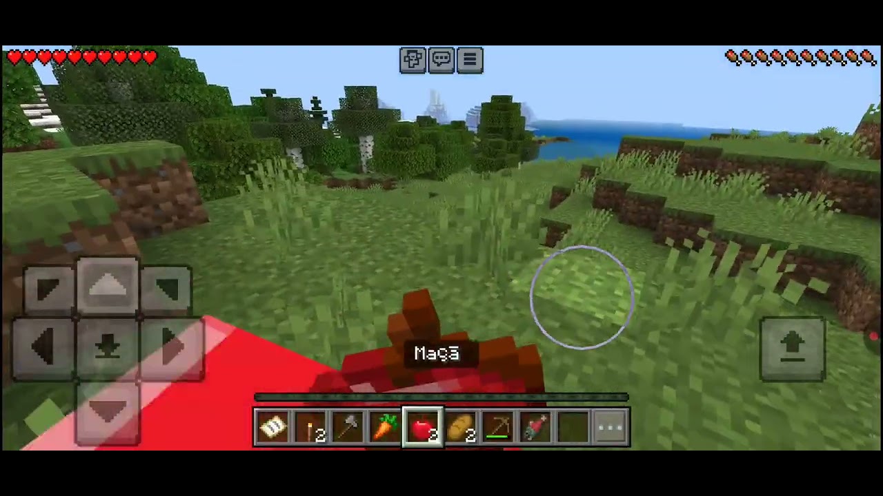 Minecraft mas eu só posso tocar nas cores do brazil