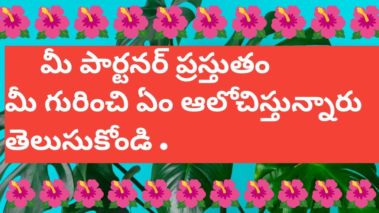 💯మీ పార్టనర్ ప్రస్తుతం మీ గురించి ఏం ఆలోచిస్తున్నారు తెలుసుకోండి 😍
