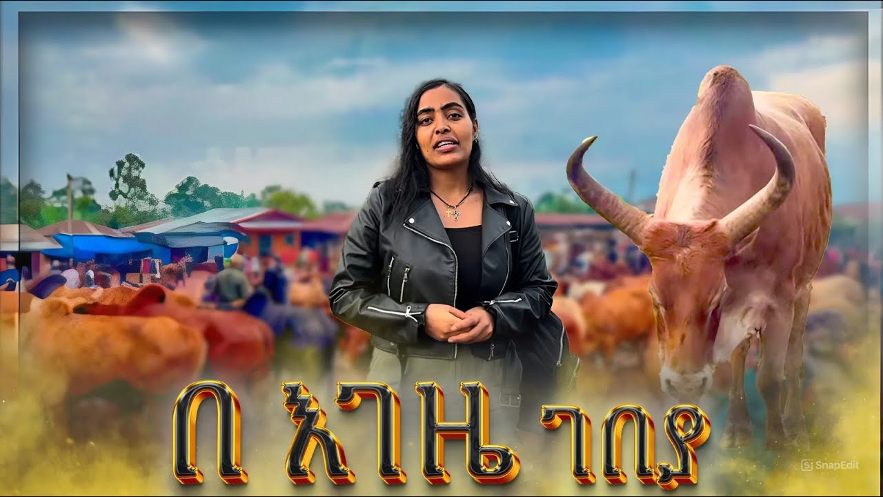 እገዜ የነበረው የገበያ ዋጋ ና ሁኔታዎቹ