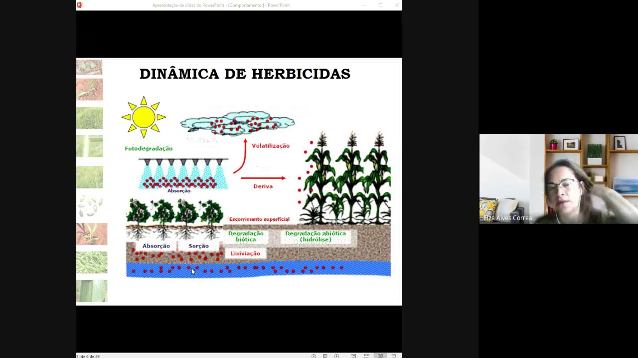 Aula daninhas_ Introdução a Dinâmica de Herbicidas no ambiente (17/12/2020)