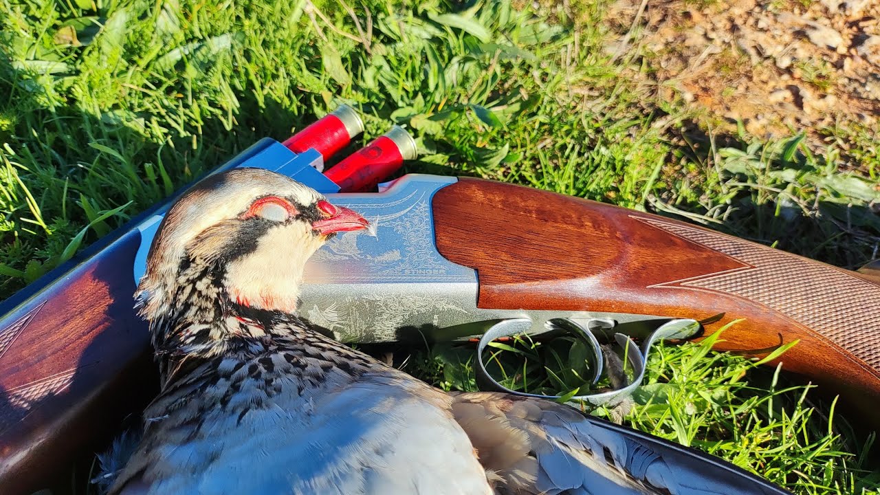 !!!!LOCURA!!!! CALIBRE 28 PERDICES, ZORZALES Y PALOMAS