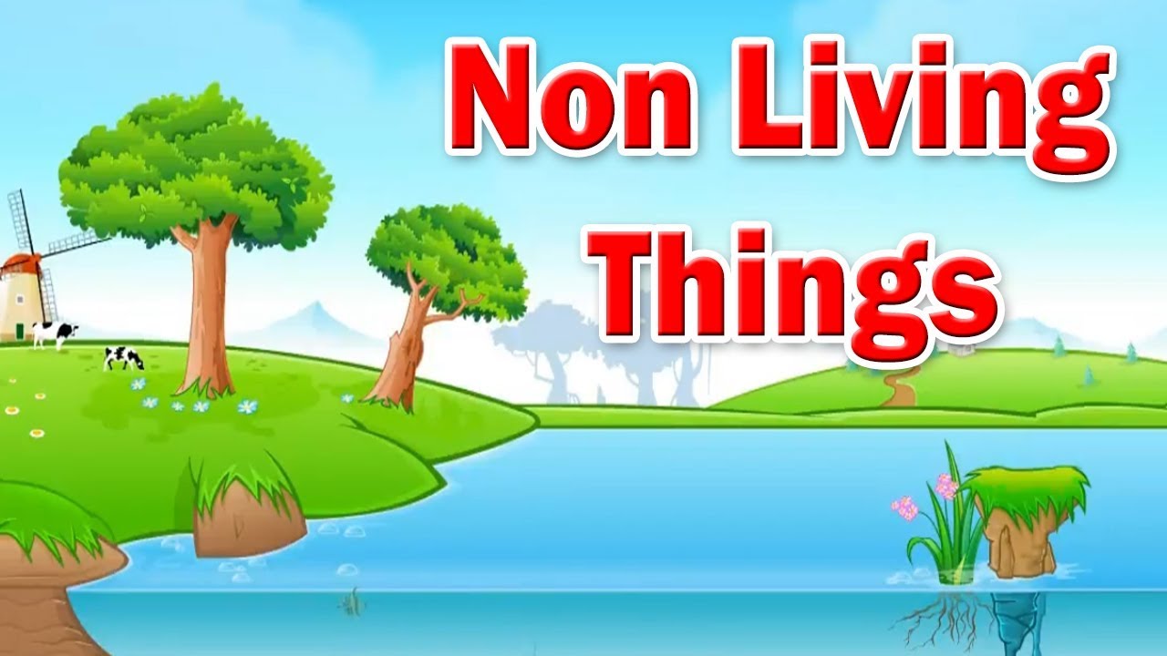 Non Living Things for Kids | Educational Videos