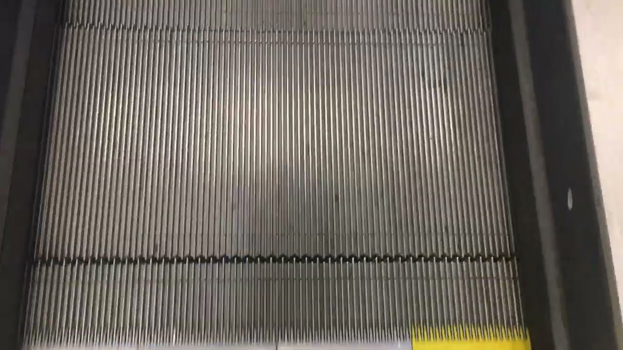 O&K Down Escalator & ThyssenKrupp Up Escalator at Sports Direct in Northampton