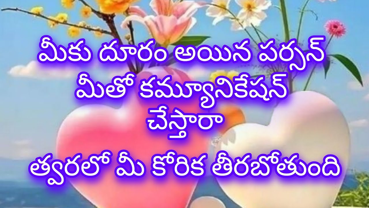🧚❤️🫂త్వరలో మీ కోరిక తీరబోతుంది మీ రిలేషన్ లో | sun Divine Tarot|Tarot card reading 