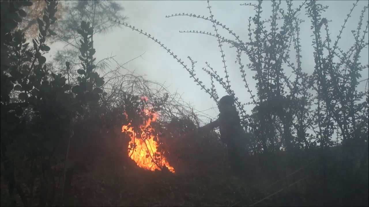 Irene Kevin Burn B 1 2020