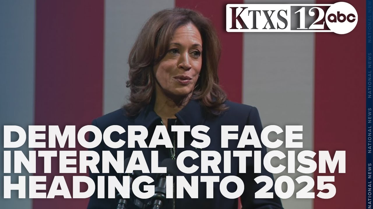 Democrats face internal criticism as focus groups reveal challenges heading into 2025