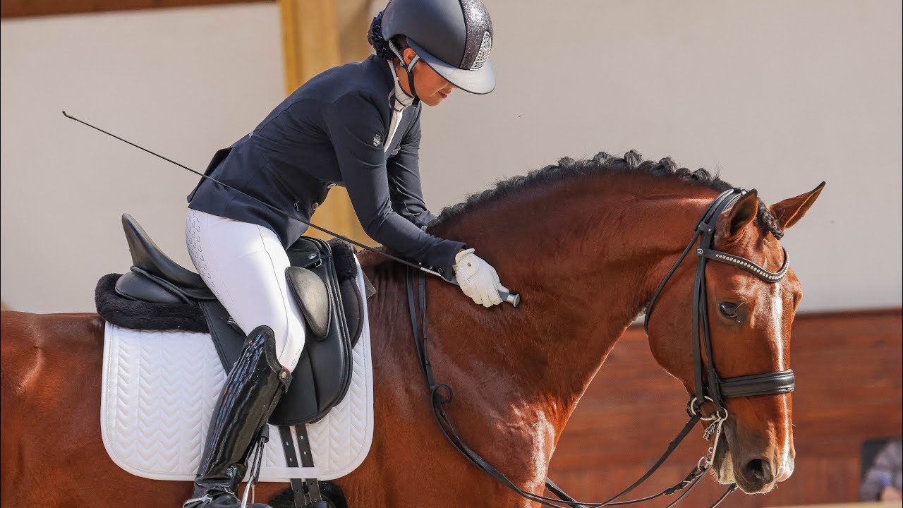 Nadal - M3 - Dressage Open