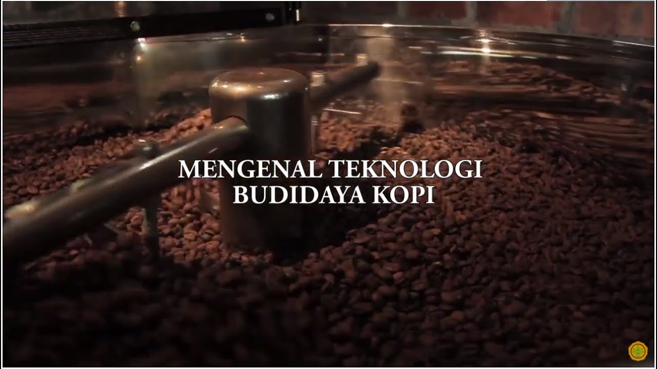 Mengenal Teknologi Budidaya Kopi