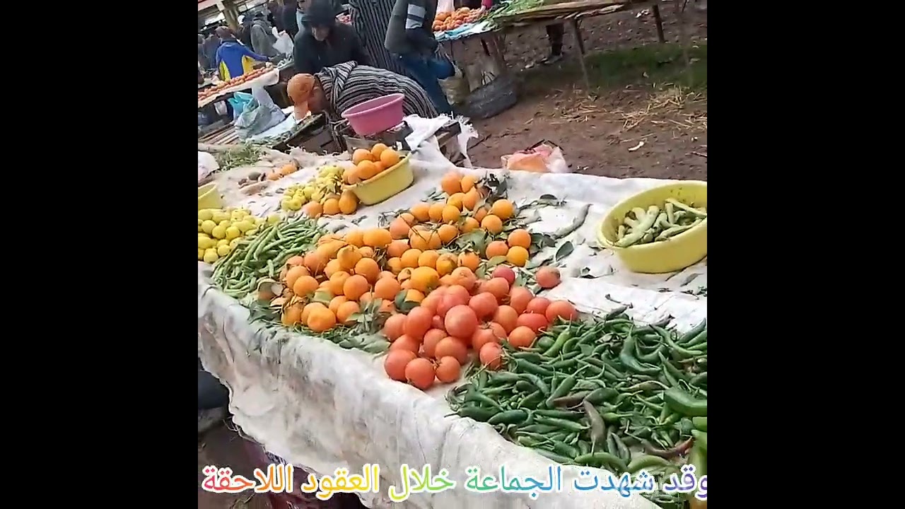 تاريخ قبيلة التسول)   معا جولة من مدينة تازة اتجاه سوق الأربعاء ) بني لنت ) باب الحرشة) والخندق