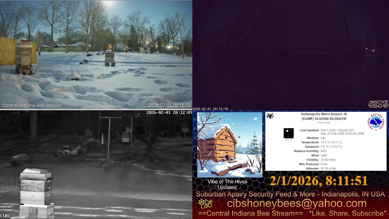 2026/2/1 Back Yard Cam - Film Winder Work - Snowy Bee Hives - Security Feed - Indianapolis, IN USA